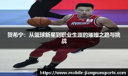 贺希宁：从篮球新星到职业生涯的璀璨之路与挑战